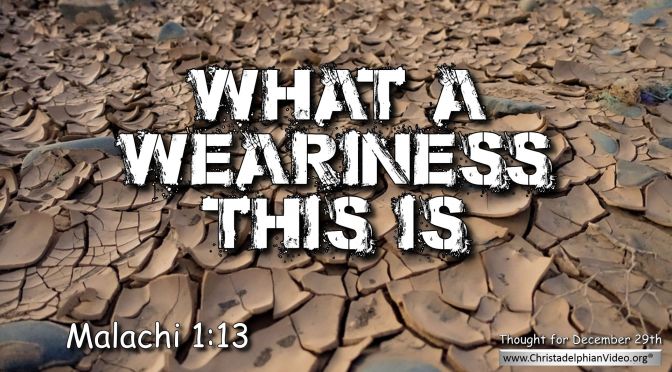 Daily Readings & Thought for December 29th. "What a weariness this is"