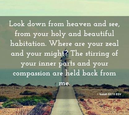 Daily readings and Thoughts for July 7th. “LOOK DOWN FROM HEAVEN AND SEE”