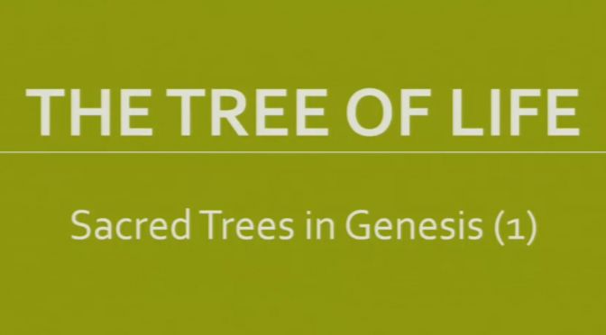 The Tree Of Life Bible Study Boxset New Video Release