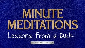 Minute Meditation -Lessons From a Duck