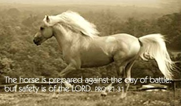 Evidence of Design in The Creation: The horse is prepared against the day of battle