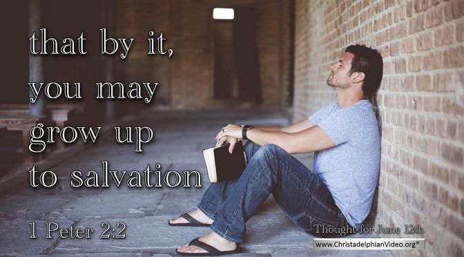 Daily Readings & Thought for June 12th. “GROW UP TO SALVATION”