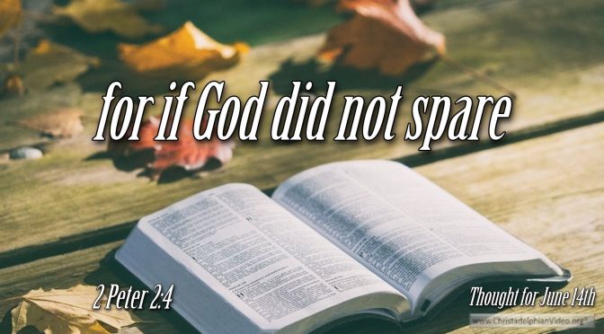 Daily Readings & Thought for June 14th. “FOR IF GOD DID NOT SPARE …”