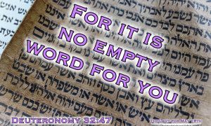 Daily Readings & Thought for May 15th. “FOR IT IS NO EMPTY WORD”