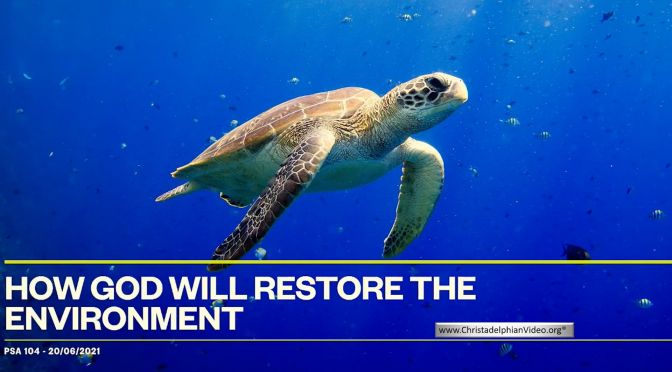 How God will restore the Environment?