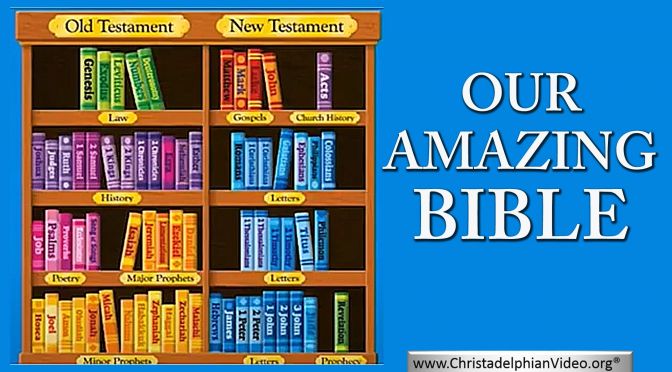 Our Amazing Bible