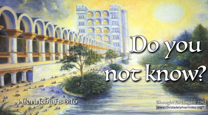 Daily Readings & Thought for August 23rd. ”DO YOU NOT KNOW”