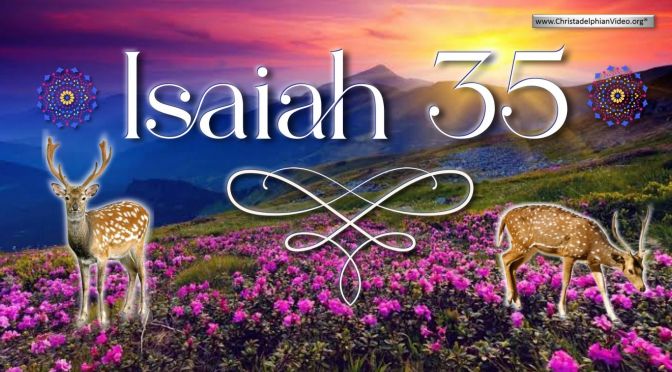 Lovely....Isaiah 35